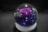 Valentine's Day and Teachers' Day everlasting flower rose manufacturer wholesale spherical glass cover everlasting flower dust cover decorative ball gift box Valentine's Day gift wholesale soap flower Teachers' Day Specification image